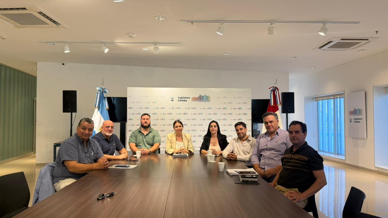 imagen-3bc47a6ee46241d38ad1b7bd65716ba5